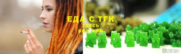 гидра Верхний Тагил