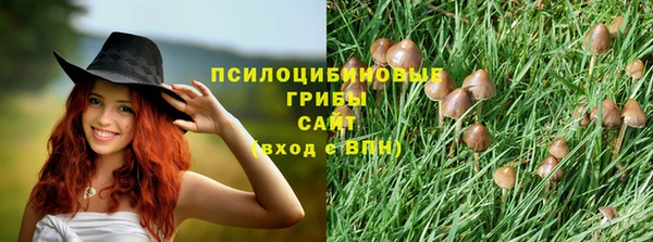 экстази Пестово