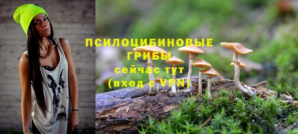 таблы Богданович