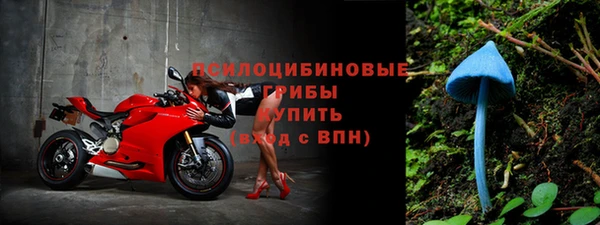 дмт Покров