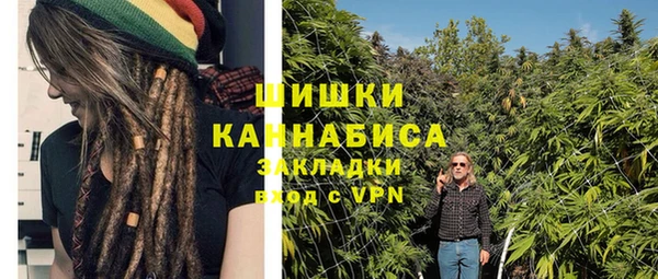гидра Верхний Тагил