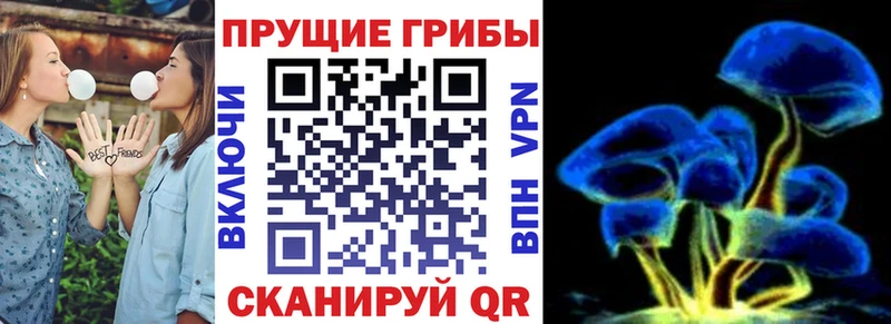 Галлюциногенные грибы Magic Shrooms  KRAKEN сайт  Вилючинск  даркнет сайт 